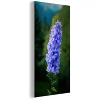 MuchoWow Aluminium schilderij 40x80 cm - Wanddecoratie metaal - Bloemen - Blauw - Dennenboom - Metalen muurdecoratie woonkamer - Decoratie industrieel - Foto op dibond - Industriële accessoires slaapkamer