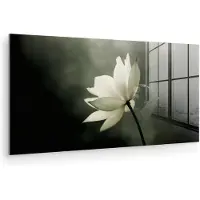 MuchoWow Glasschilderij 160x80 cm - Schilderij acrylglas - Wit - Lotus - Donker - Bloem - Foto op glas - Muurdecoratie woonkamer - Wanddecoratie slaapkamer - Schilderijen
