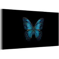 MuchoWow Aluminium schilderij 40x20 cm - Wanddecoratie metaal - Vlinder - Blauw - Contrast - Metalen muurdecoratie woonkamer - Decoratie industrieel - Foto op dibond - Industriële accessoires slaapkamer