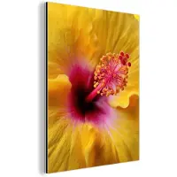 MuchoWow Aluminium schilderij 90x120 cm - Wanddecoratie metaal - Geel - Hibiscus - Tropisch - Metalen muurdecoratie woonkamer - Decoratie industrieel - Foto op dibond - Industriële accessoires slaapkamer