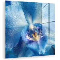 MuchoWow Glasschilderij 90x90 cm - Schilderij acrylglas - Blauw - Orchidee - Elegeant - Foto op glas - Muurdecoratie woonkamer - Wanddecoratie slaapkamer - Schilderijen