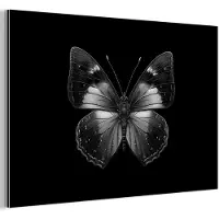 MuchoWow Aluminium schilderij 180x120 cm - Wanddecoratie metaal - Vlinder - Grijs - Mysterieus - Metalen muurdecoratie woonkamer - Decoratie industrieel - Foto op dibond - Industriële accessoires slaapkamer