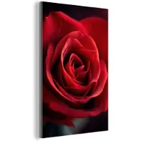 MuchoWow Aluminium schilderij 120x180 cm - Wanddecoratie metaal - Rood - Roos - Romantisch - Metalen muurdecoratie woonkamer - Decoratie industrieel - Foto op dibond - Industriële accessoires slaapkamer