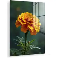 MuchoWow Glasschilderij 120x160 cm - Schilderij acrylglas - Bloemblaadjes - Afrikaan - Oranje - Wazig - Foto op glas - Muurdecoratie woonkamer - Wanddecoratie slaapkamer - Schilderijen