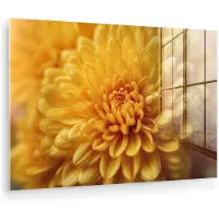 MuchoWow Glasschilderij 180x120 cm - Schilderij acrylglas - Geel - Chrysant - Zachtheid - Foto op glas - Muurdecoratie woonkamer - Wanddecoratie slaapkamer - Schilderijen