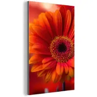MuchoWow Aluminium schilderij 20x30 cm - Wanddecoratie metaal - Oranje - Gerbera - Intens - Metalen muurdecoratie woonkamer - Decoratie industrieel - Foto op dibond - Industriële accessoires slaapkamer