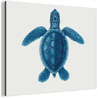 MuchoWow Aluminium schilderij 120x90 cm - Wanddecoratie metaal - Schildpad - Blauw - Schild - Metalen muurdecoratie woonkamer - Decoratie industrieel - Foto op dibond - Industriële accessoires slaapkamer
