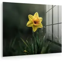 MuchoWow Glasschilderij 160x120 cm - Schilderij acrylglas - Bloem - Narcis - Gras - Geel - Foto op glas - Muurdecoratie woonkamer - Wanddecoratie slaapkamer - Schilderijen