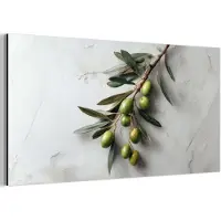 MuchoWow Aluminium schilderij 40x20 cm - Wanddecoratie metaal - Olijventak - Beton - Mediterraan - Metalen muurdecoratie woonkamer - Decoratie industrieel - Foto op dibond - Industriële accessoires slaapkamer