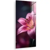 MuchoWow Glasschilderij 60x120 cm - Schilderij acrylglas - Roze - lelie - Dauwdruppels - Foto op glas - Muurdecoratie woonkamer - Wanddecoratie slaapkamer - Schilderijen