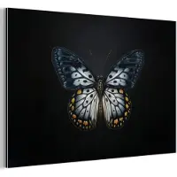 MuchoWow Aluminium schilderij 30x20 cm - Wanddecoratie metaal - Vlinder - Monochroom - Balans - Metalen muurdecoratie woonkamer - Decoratie industrieel - Foto op dibond - Industriële accessoires slaapkamer