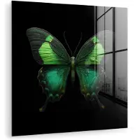MuchoWow Glasschilderij 50x50 cm - Schilderij acrylglas - Vlinder - Groen - Opvallend - Foto op glas - Muurdecoratie woonkamer - Wanddecoratie slaapkamer - Schilderijen