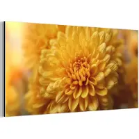 MuchoWow Aluminium schilderij 160x80 cm - Wanddecoratie metaal - Geel - Chrysant - Zachtheid - Metalen muurdecoratie woonkamer - Decoratie industrieel - Foto op dibond - Industriële accessoires slaapkamer