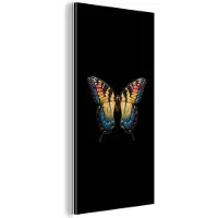 MuchoWow Aluminium schilderij 40x80 cm - Wanddecoratie metaal - Vlinder - Kleurrijk - Speels - Metalen muurdecoratie woonkamer - Decoratie industrieel - Foto op dibond - Industriële accessoires slaapkamer