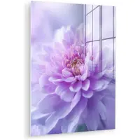 MuchoWow Glasschilderij 60x80 cm - Schilderij acrylglas - Paars - Dahlia - Dromerig - Foto op glas - Muurdecoratie woonkamer - Wanddecoratie slaapkamer - Schilderijen