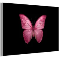 MuchoWow Aluminium schilderij 90x60 cm - Wanddecoratie metaal - Vlinder - roze - Elegant - Metalen muurdecoratie woonkamer - Decoratie industrieel - Foto op dibond - Industriële accessoires slaapkamer