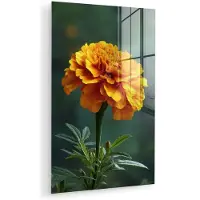 MuchoWow Glasschilderij 120x180 cm - Schilderij acrylglas - Bloemblaadjes - Afrikaan - Oranje - Wazig - Foto op glas - Muurdecoratie woonkamer - Wanddecoratie slaapkamer - Schilderijen