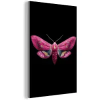 MuchoWow Aluminium schilderij 60x90 cm - Wanddecoratie metaal - Vlinder - Roze - Nachtvlinder - Metalen muurdecoratie woonkamer - Decoratie industrieel - Foto op dibond - Industriële accessoires slaapkamer