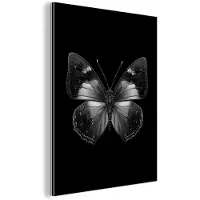 MuchoWow Aluminium schilderij 60x80 cm - Wanddecoratie metaal - Vlinder - Grijs - Mysterieus - Metalen muurdecoratie woonkamer - Decoratie industrieel - Foto op dibond - Industriële accessoires slaapkamer