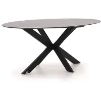 Bellagio + 15% kassakorting | Furato ellips dining tuintafel 200x110cm