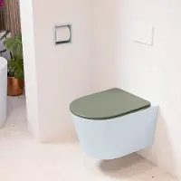 Mondiaz LAVIE hangend toilet single fire rimless diepspoel Clay, Toiletzitting met quick-release & softclose Army