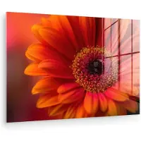 MuchoWow Glasschilderij 60x40 cm - Schilderij acrylglas - Oranje - Gerbera - Intens - Foto op glas - Muurdecoratie woonkamer - Wanddecoratie slaapkamer - Schilderijen