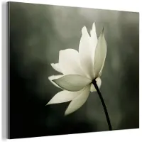 MuchoWow Aluminium schilderij 160x120 cm - Wanddecoratie metaal - Wit - Lotus - Donker - Bloem - Metalen muurdecoratie woonkamer - Decoratie industrieel - Foto op dibond - Industriële accessoires slaapkamer