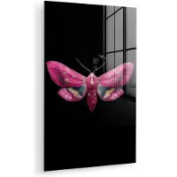 MuchoWow Glasschilderij 20x30 cm - Schilderij acrylglas - Vlinder - Roze - Nachtvlinder - Foto op glas - Muurdecoratie woonkamer - Wanddecoratie slaapkamer - Schilderijen