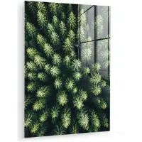 MuchoWow Glasschilderij 90x120 cm - Schilderij acrylglas - Bomen - Naaldwoud - Structuur - Foto op glas - Muurdecoratie woonkamer - Wanddecoratie slaapkamer - Schilderijen