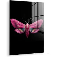MuchoWow Glasschilderij 60x80 cm - Schilderij acrylglas - Vlinder - Roze - Nachtvlinder - Foto op glas - Muurdecoratie woonkamer - Wanddecoratie slaapkamer - Schilderijen
