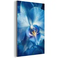 MuchoWow Aluminium schilderij 80x120 cm - Wanddecoratie metaal - Blauw - Orchidee - Elegeant - Metalen muurdecoratie woonkamer - Decoratie industrieel - Foto op dibond - Industriële accessoires slaapkamer