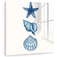 MuchoWow Glasschilderij 20x20 cm - Schilderij acrylglas - Zeester - Schelpen - Blauw - Foto op glas - Muurdecoratie woonkamer - Wanddecoratie slaapkamer - Schilderijen