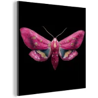 MuchoWow Aluminium schilderij 50x50 cm - Wanddecoratie metaal - Vlinder - Roze - Nachtvlinder - Metalen muurdecoratie woonkamer - Decoratie industrieel - Foto op dibond - Industriële accessoires slaapkamer