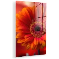 MuchoWow Glasschilderij 60x90 cm - Schilderij acrylglas - Oranje - Gerbera - Intens - Foto op glas - Muurdecoratie woonkamer - Wanddecoratie slaapkamer - Schilderijen