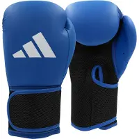 Adidas Bokshandschoenen Hybrid 25 - Blauw - 10 oz