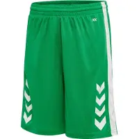 Hummel Sportbroek 'Core XK' lichtgroen / wit