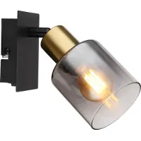 Globo Wandlamp Hollsy Zwart Met Smoke Glas