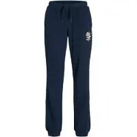 Jack & jones Broek beige / nachtblauw / bruin