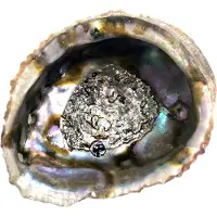 Jiri & Friends Abalone schelp