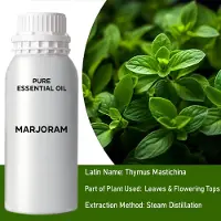 Ancient Wisdom Marjolein Etherische Olie – 0,5 kg – – Aromatherapie & Cosmetica