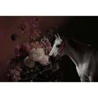 A.S. Création Fotobehang horses 1 DD110641 Livingwalls Walls by Patel | Fotobehang online webshop