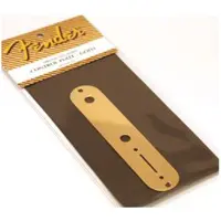Fender Controleplaat - Telecaster - Goud