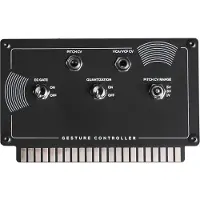 Erica Synths Gesture Controller Voice Card - Accessoire voor piano's