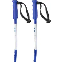 Salomon S/race Sg Junior Stokken
