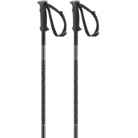 Salomon Polar Stokken