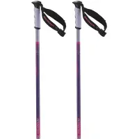 Salomon Arctic S3 Xl Stokken
