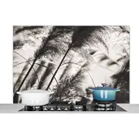 KitchenYeah Spatscherm keuken 120x80 cm - Kookplaat achterwand Pampasgras - Zwart - Wit - Plant - Muurbeschermer - Spatwand fornuis - Hoogwaardig aluminium