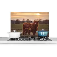 KitchenYeah Spatscherm - Spatwand - Schotse hooglander - Kalf - Koe - Zonsondergang - Natuur - Muurbeschermer - 90x60 cm - Achterwand keuken - Spatscherm natuur - Decoratie keuken