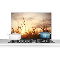 KitchenYeah Spatscherm keuken 80x55 cm - Kookplaat achterwand Riet - Gras - Zonsondergang - Natuur - Horizon - Muurbeschermer - Spatwand fornuis - Hoogwaardig aluminium