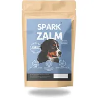 Spark - Puppy Hondenbrokken - Groot Hondenras - Zalm met Zoete Aardappel & Groenten - Hypoallergeen - Graanvrij - 2KG